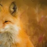 <strong>105 години от рождението на Борис Априлов</strong>